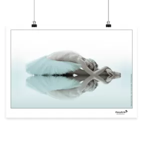 Danzarte swanlake Odette poster