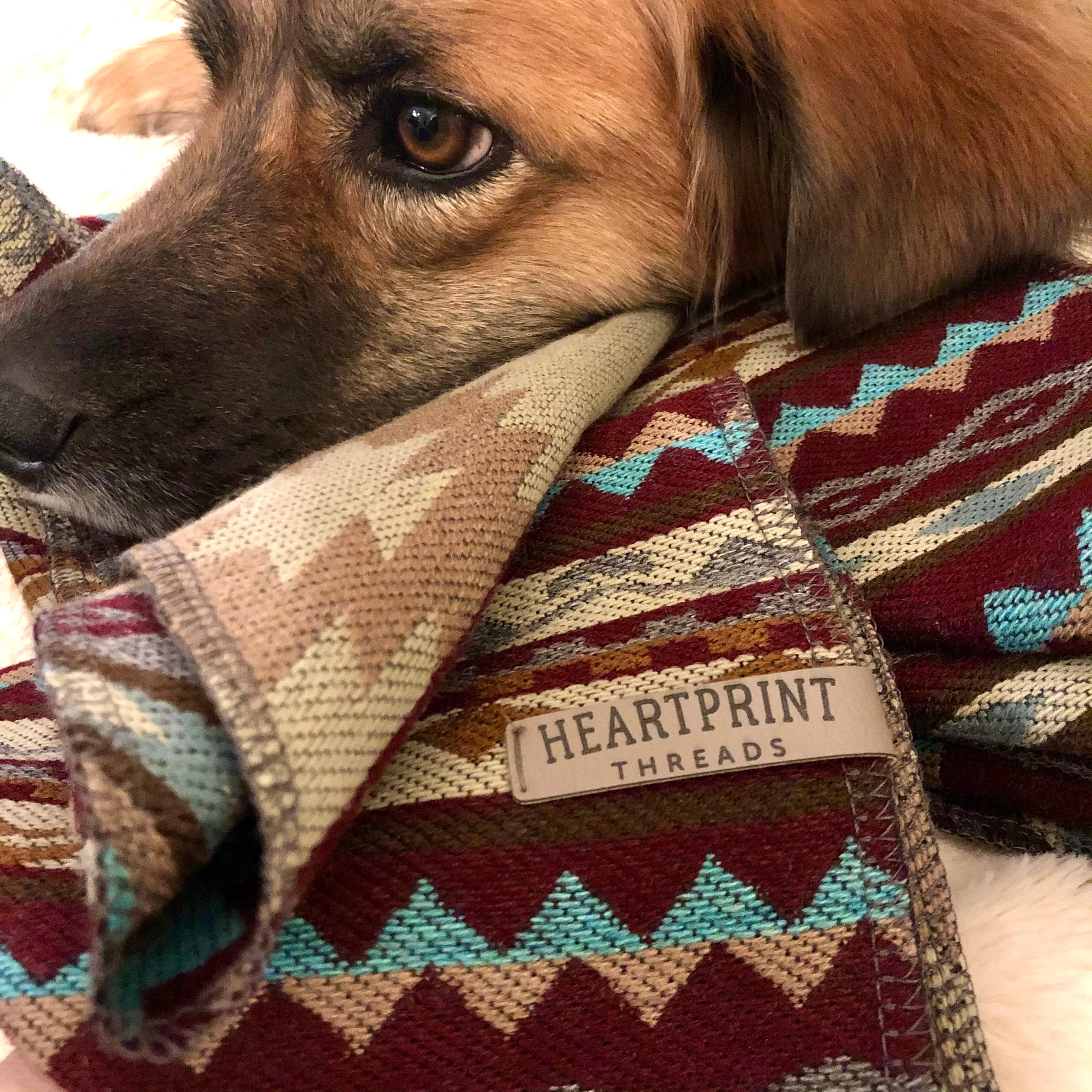 Dog Bandana - MAROON COMBO