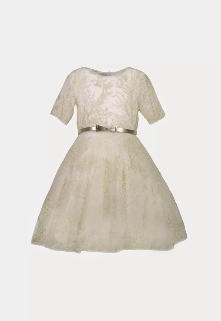 Embroidered Tulle Belted Dress