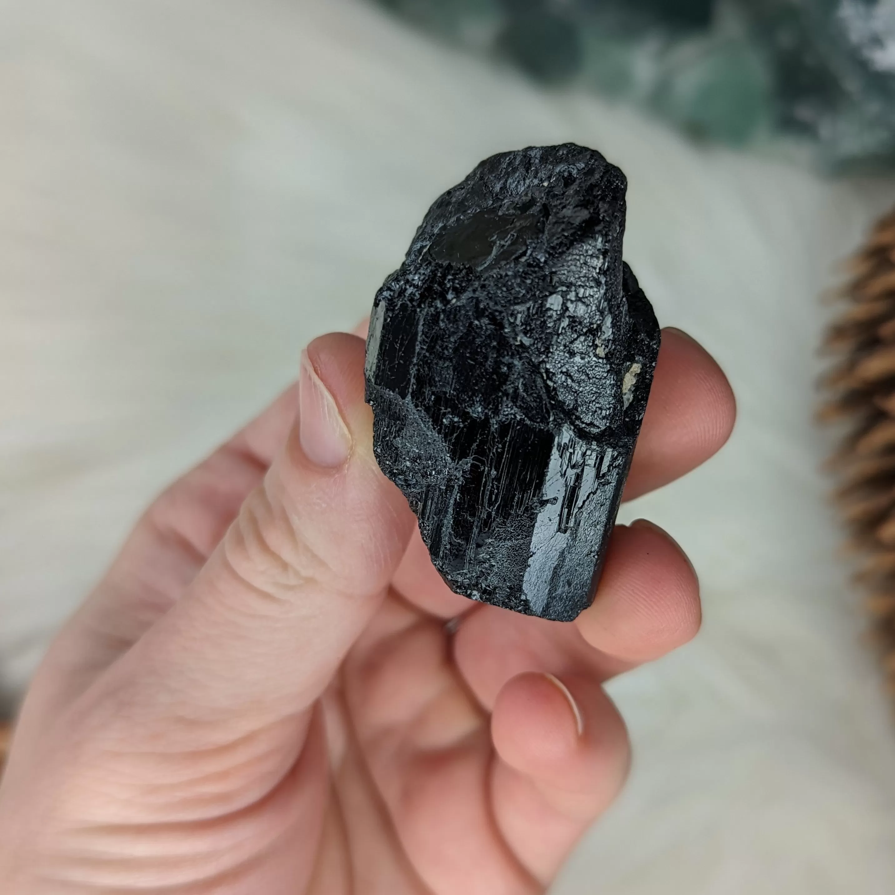 Gemmy AA Grade Black Tourmaline Natural Specimen~ Dazzling Protective Stone