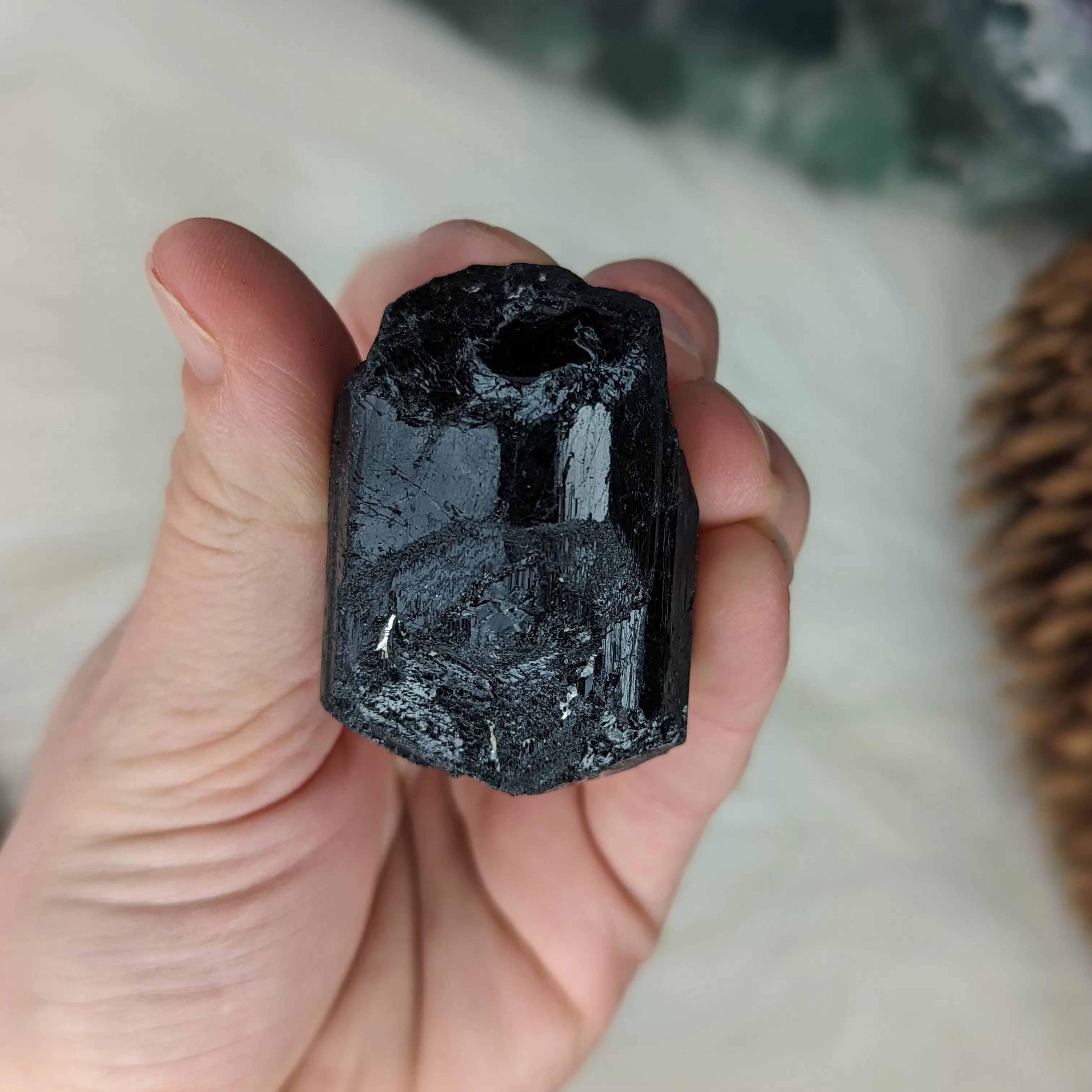 Gemmy AA Grade Black Tourmaline Natural Specimen~ Dazzling Protective Stone