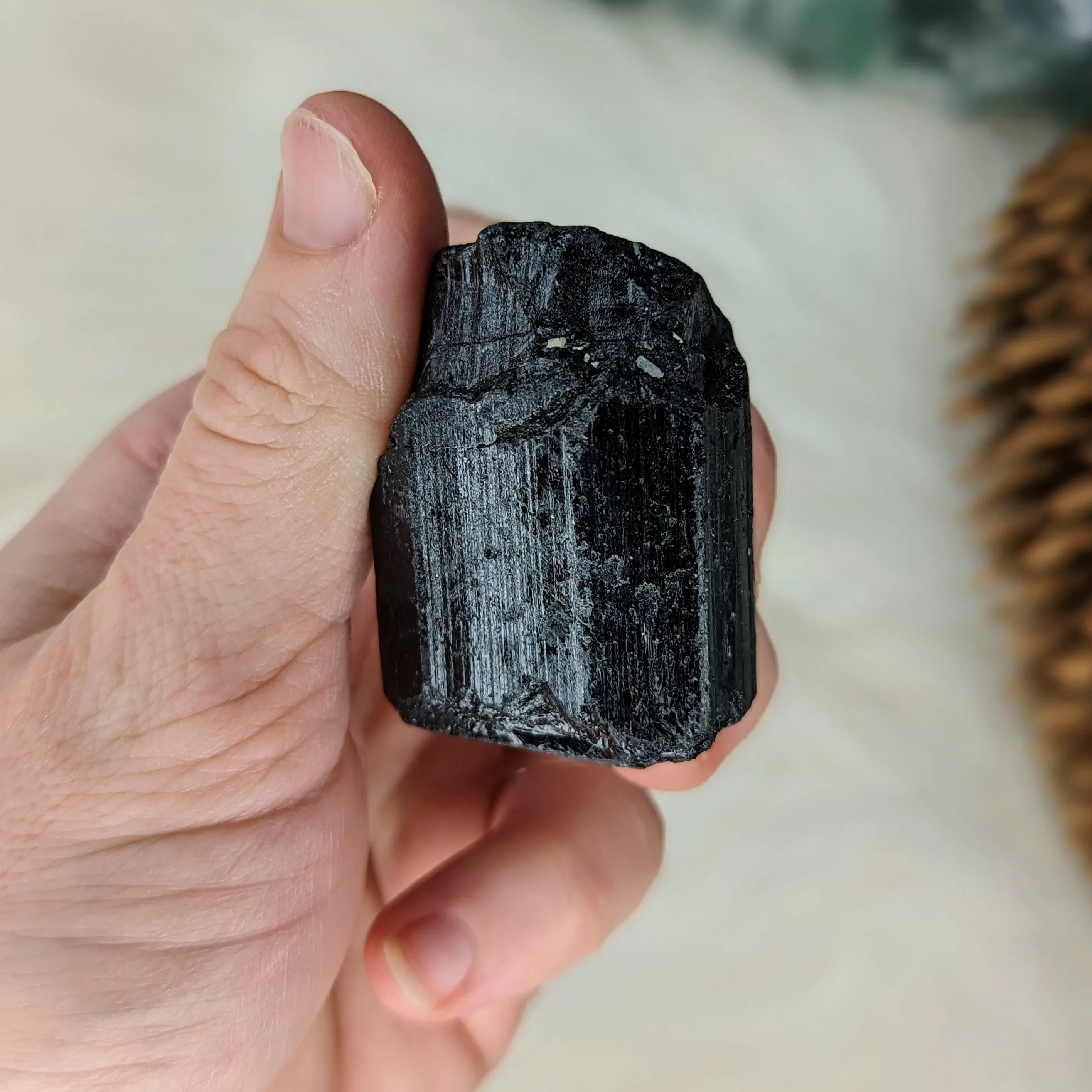 Gemmy AA Grade Black Tourmaline Natural Specimen~ Dazzling Protective Stone