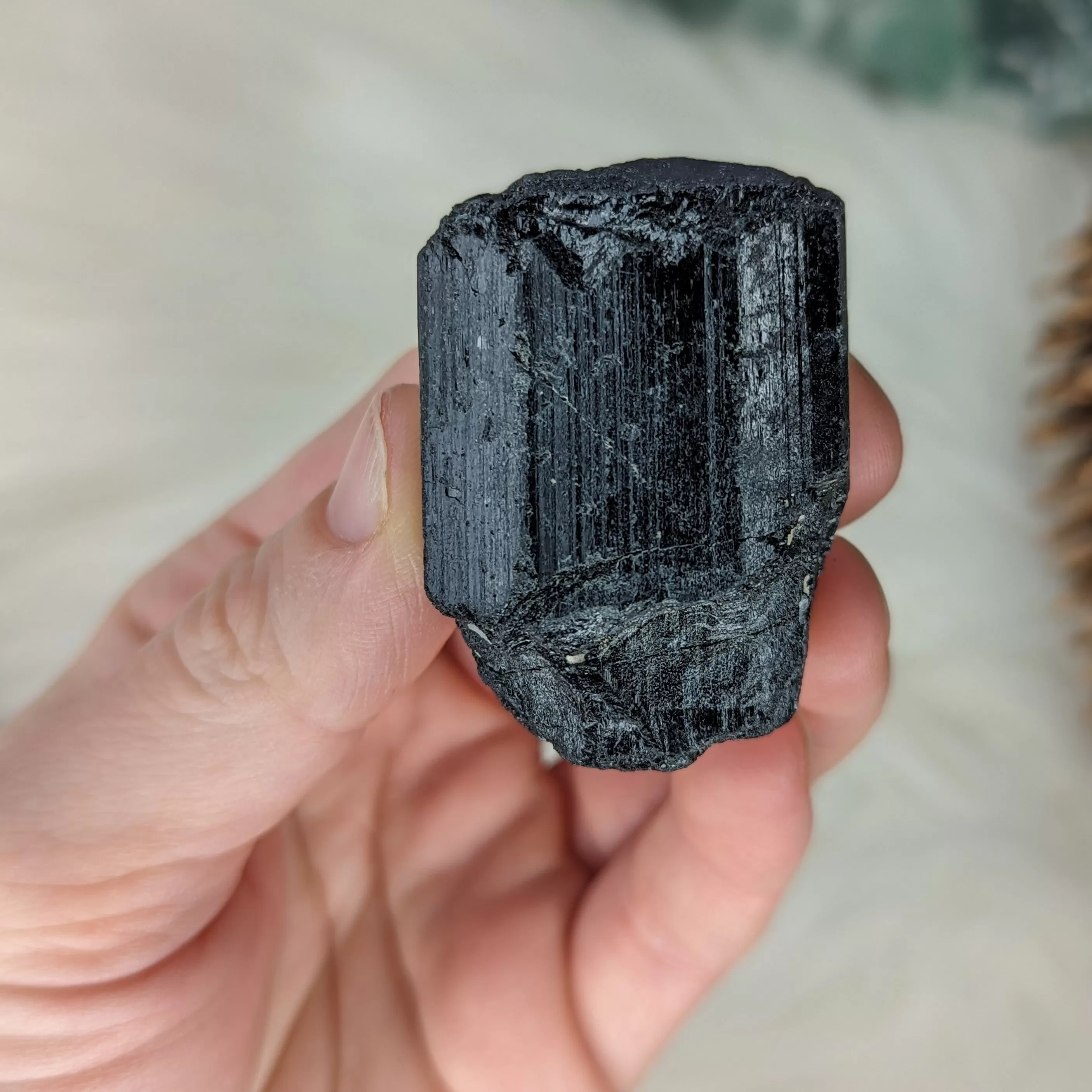 Gemmy AA Grade Black Tourmaline Natural Specimen~ Dazzling Protective Stone