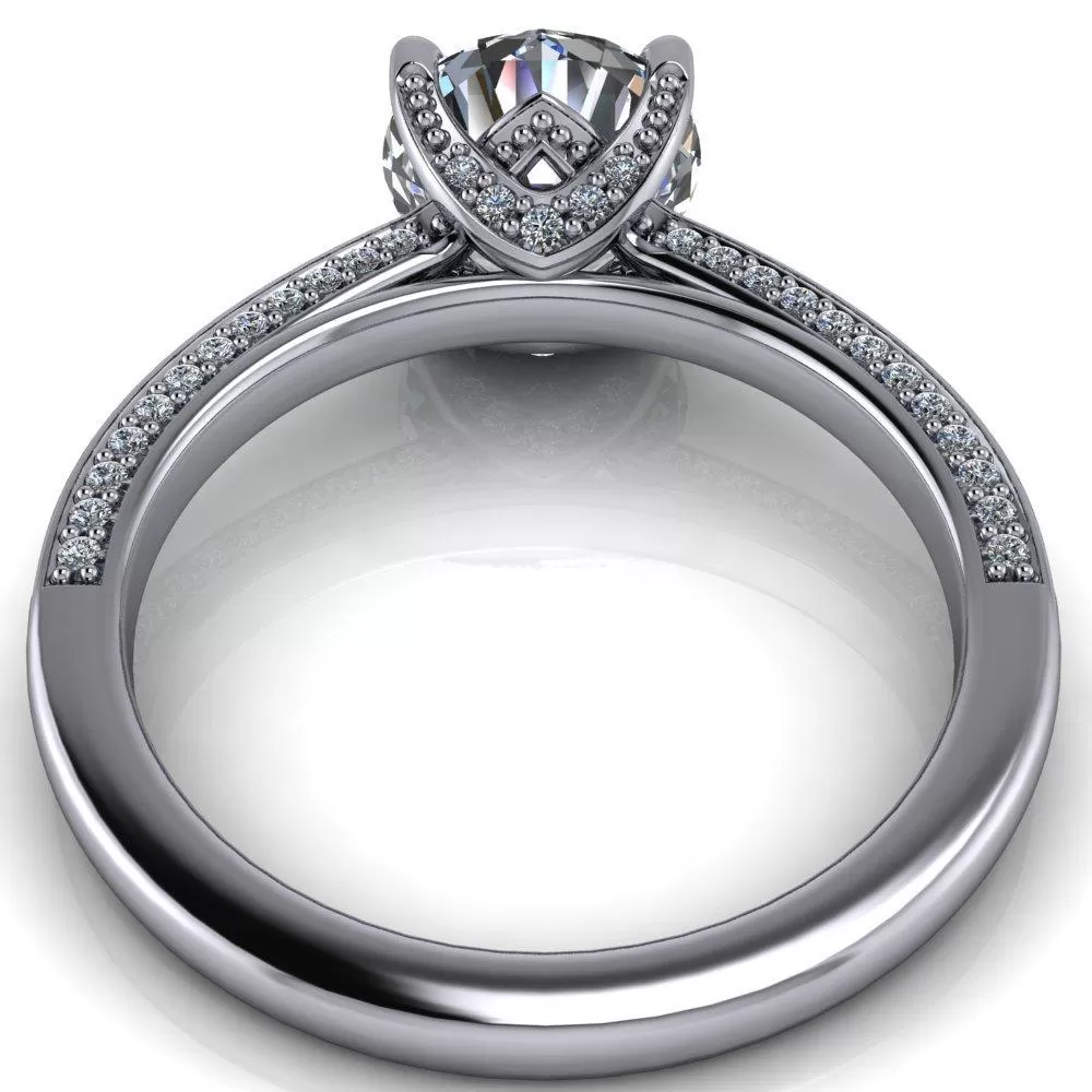 Hathaway Asscher Moissanite 4 Prong Milgrain Cathedral Engagement Ring