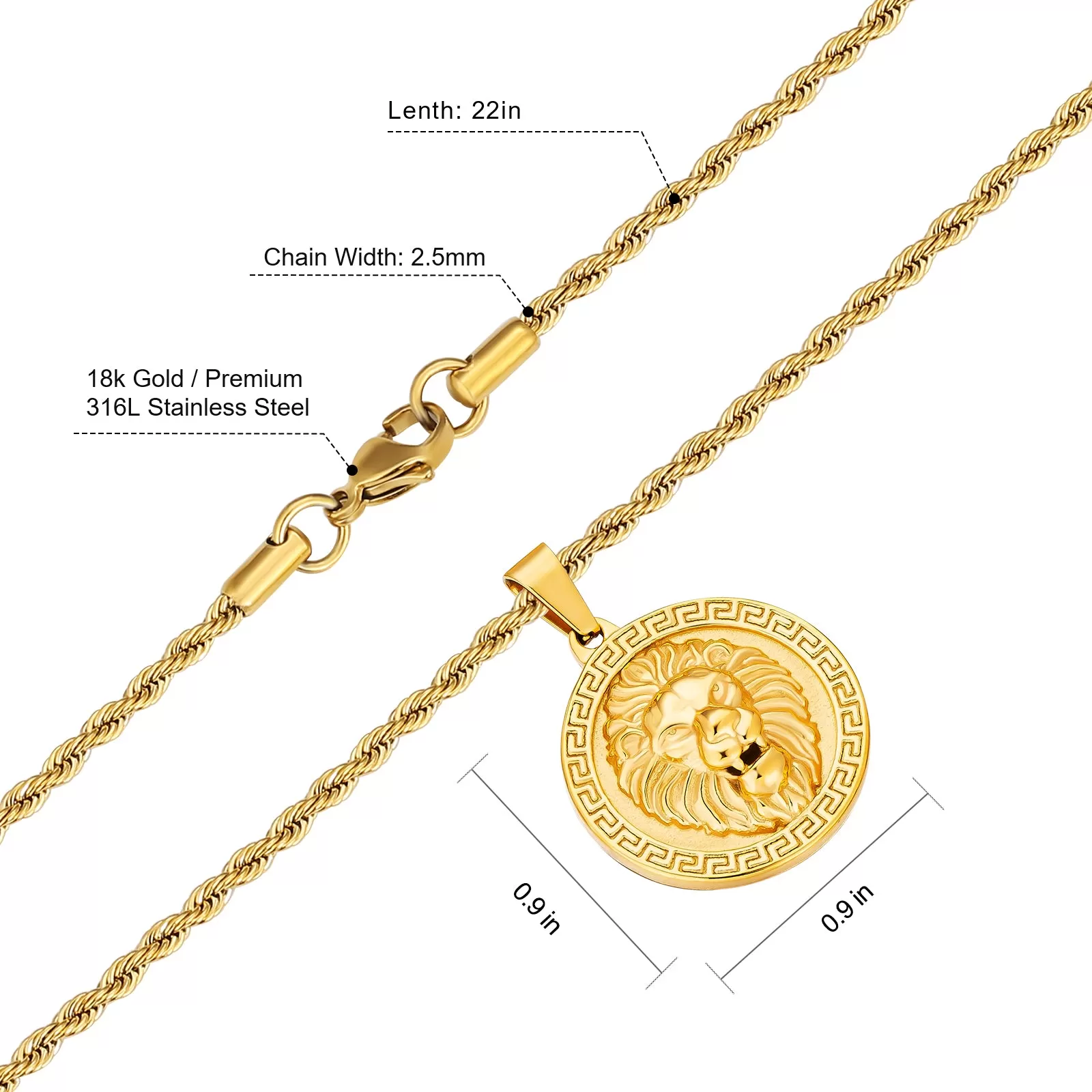 Lion Coin Pendant Necklace for Men LNHX